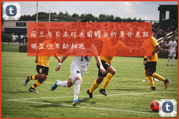 荷兰与日本对决前瞻分析身价差距明显但年龄相近