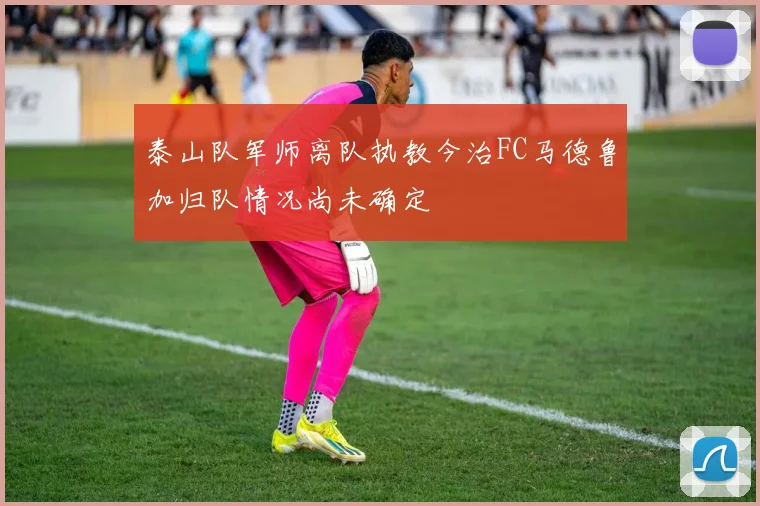 泰山队军师离队执教今治FC马德鲁加归队情况尚未确定