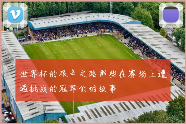 世界杯的艰辛之路那些在赛场上遭遇挑战的冠军们的故事